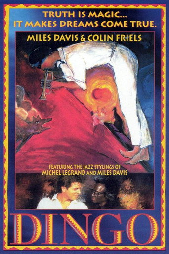 Dingo movie poster