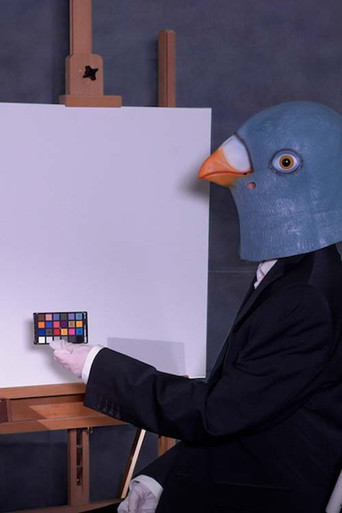 Birdsaver Report Volume 2 movie poster