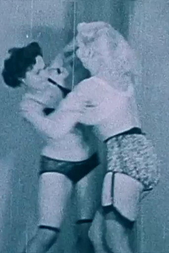 Negligee Fight movie poster
