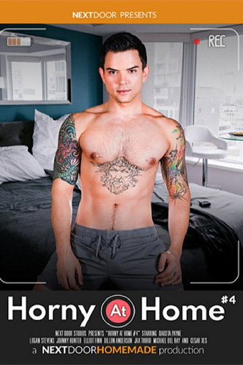 Horny at Home 4 movie poster