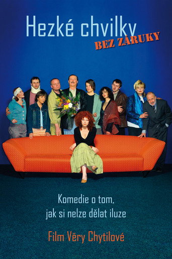 Pleasant Moments movie poster