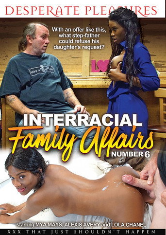 Interracial Family Affairs 6 movie poster