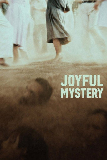 Joyful Mystery movie poster
