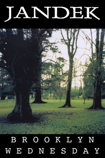 Jandek: Brooklyn Wednesday movie poster