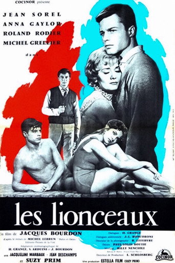 Les Lionceaux movie poster