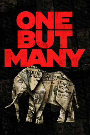 One But Many movie poster