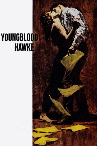 Youngblood Hawke movie poster