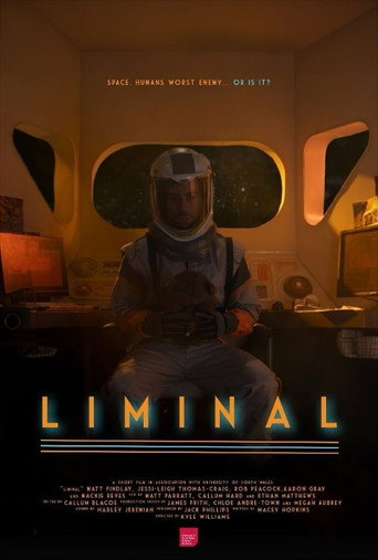 Liminal movie poster