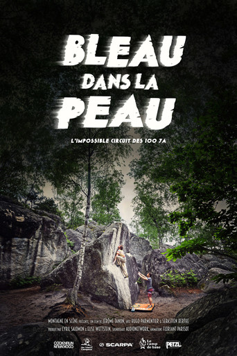 Bleau Dans La Peau movie poster