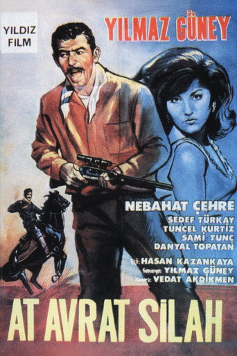 Horse, Woman and Gun movie poster