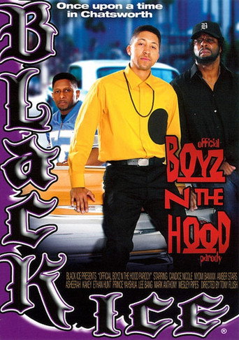 Official Boyz n the Hood Parody movie poster