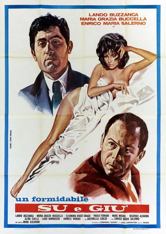 Su e giù movie poster