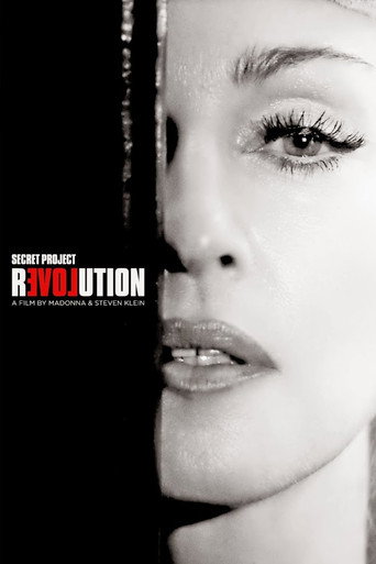 Secret Project Revolution movie poster