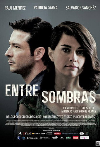 Between Shadows movie poster
