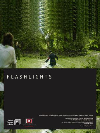 Flashlights movie poster