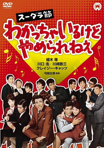 Sudara Festival: I Understand, but I can't Stop movie poster