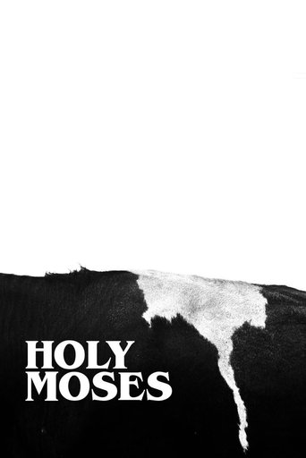 Holy Moses movie poster
