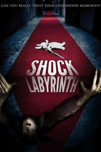 The Shock Labyrinth movie poster