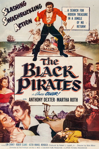 The Black Pirates movie poster
