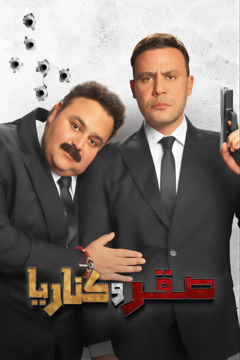 Falcon and canary movie poster