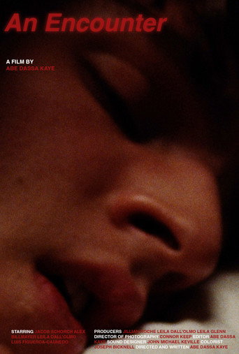 An Encounter movie poster