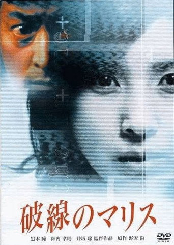 The Frame movie poster