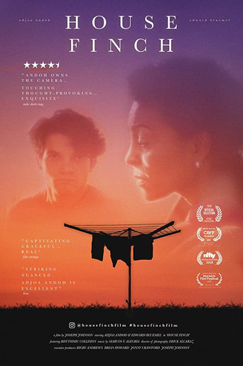 House Finch movie poster