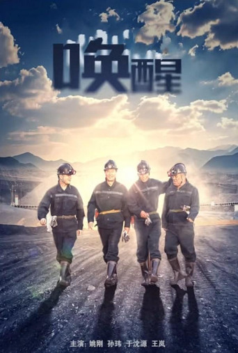 唤醒 movie poster