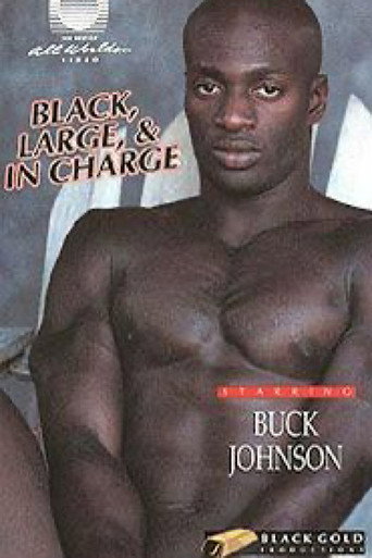 Black, Large and in Charge 1 movie poster