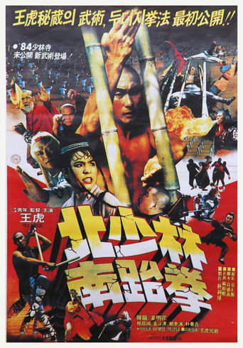 North Shaolin South Taekwon movie poster