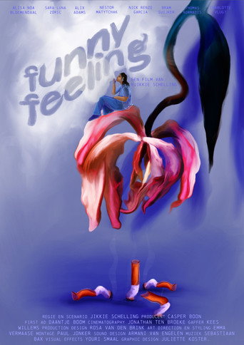 Funny Feeling movie poster