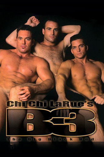 The Big Black Bed movie poster
