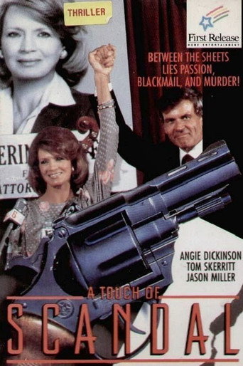 A Touch of Scandal movie poster