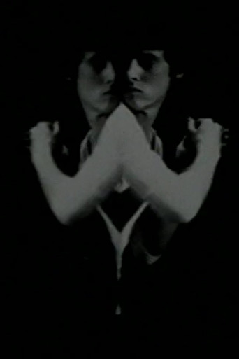 Environmental Symmetry movie poster
