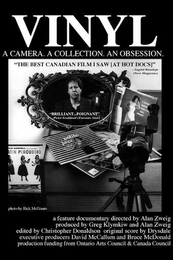 Vinyl movie poster