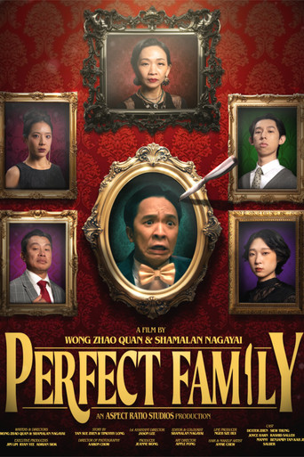 Perfect Family movie poster