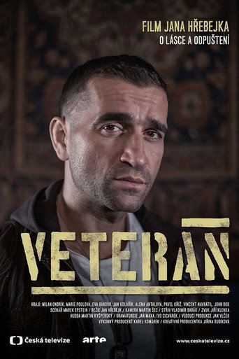 Veterán movie poster