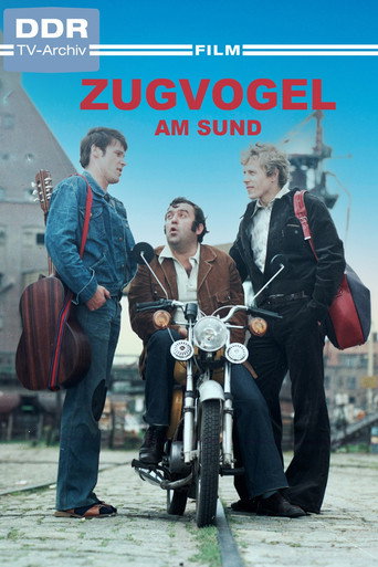 Zugvogel am Sund movie poster