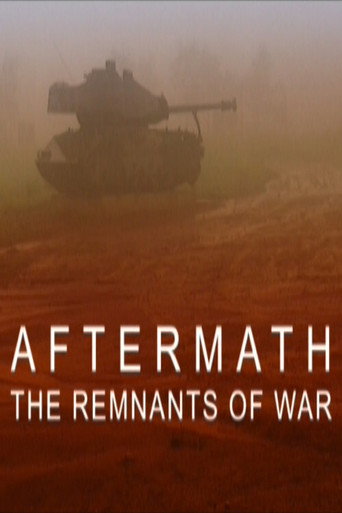 Aftermath: The Remnants of War movie poster