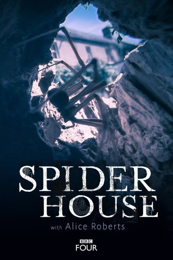 Spider House movie poster