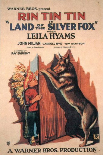 Land of the Silver Fox movie poster