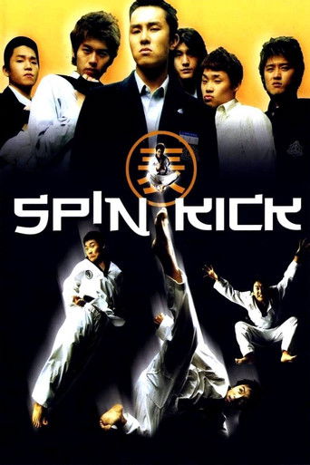 Spin Kick movie poster