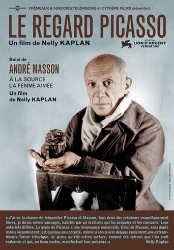 The Picasso Look movie poster
