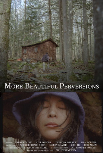 More Beautiful Perversions movie poster