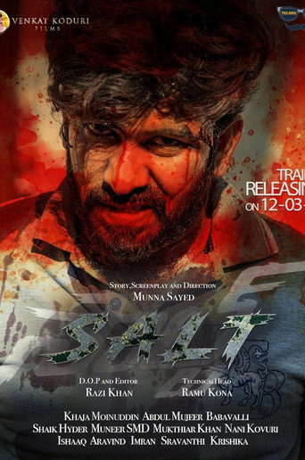 Salt movie poster