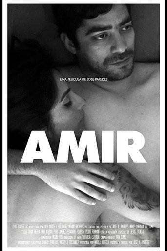 Amir movie poster