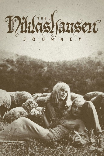 The Niklashausen Journey movie poster