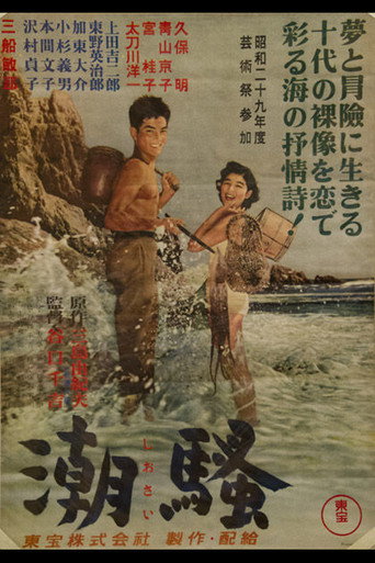 The Surf movie poster