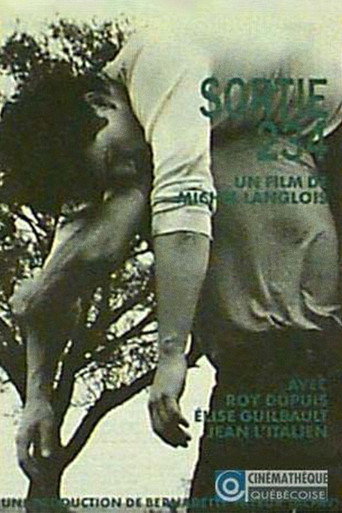 Sortie 234 movie poster
