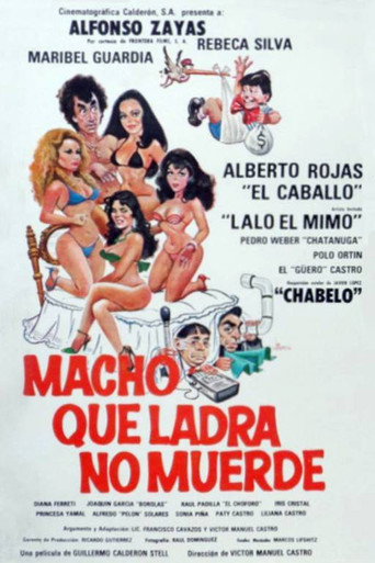 Macho Que Ladra No Muerde movie poster